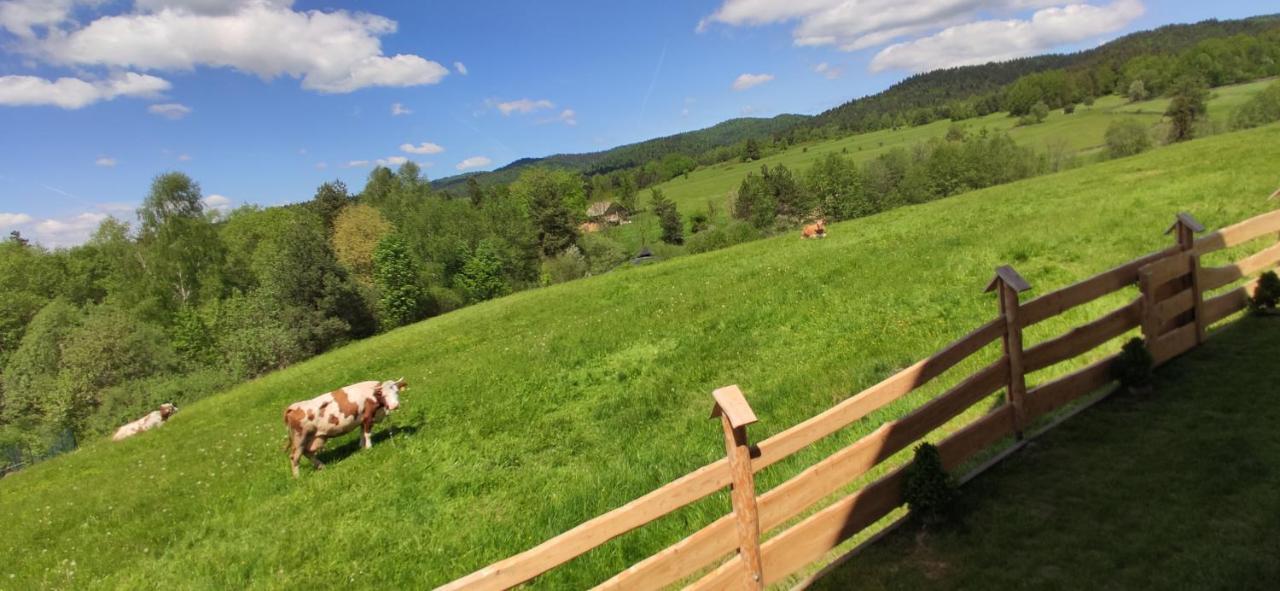 Góralskie Domki na Podhalu Maniowy Exterior foto